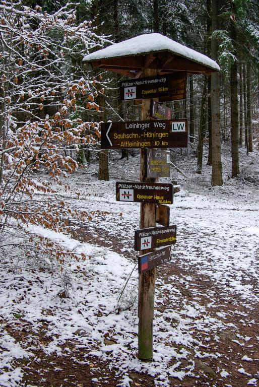 Naturfreundehaus Rahnenhof Carlsberg エクステリア 写真